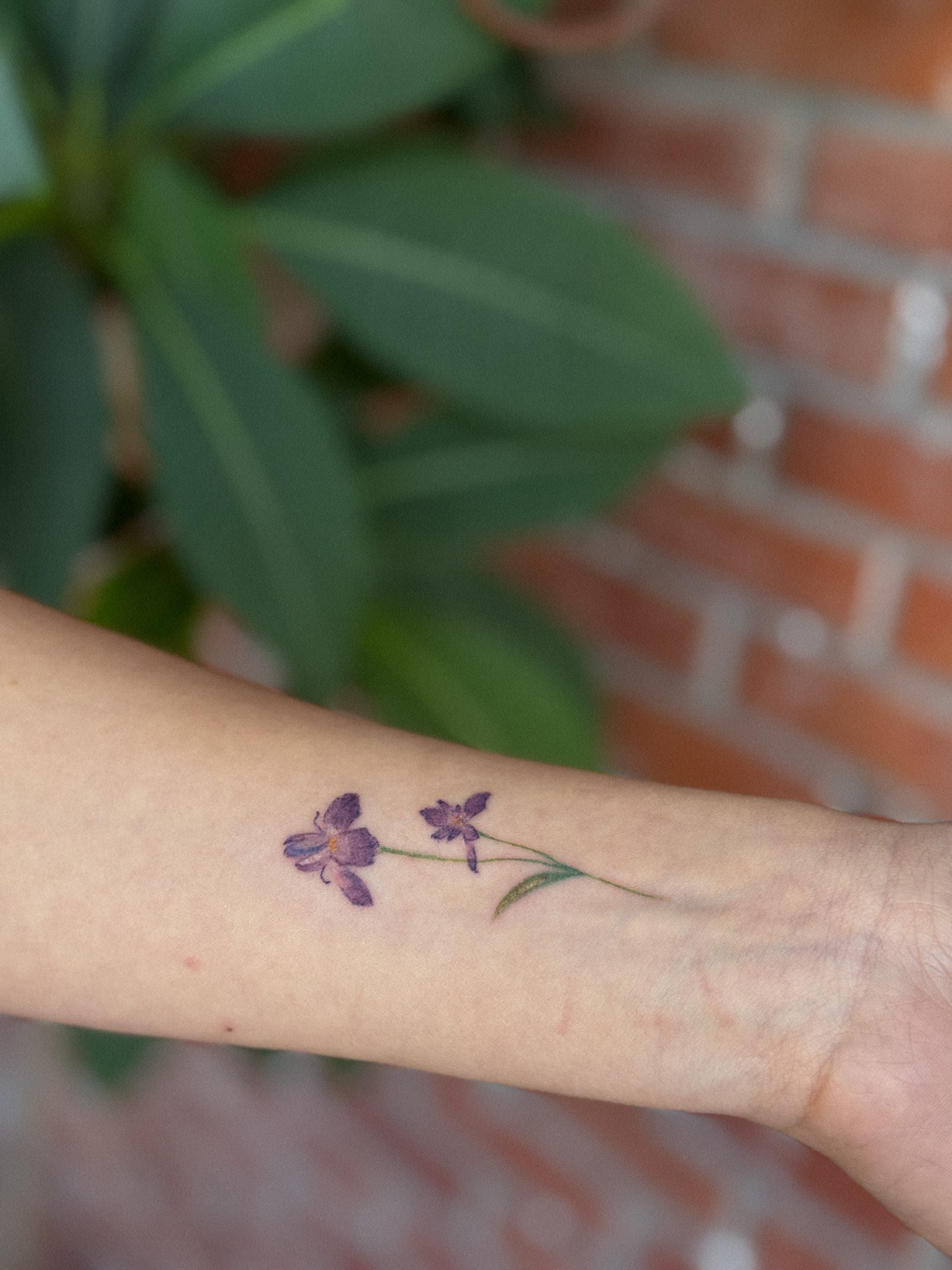 Deniz Enmutlu tattoo 24