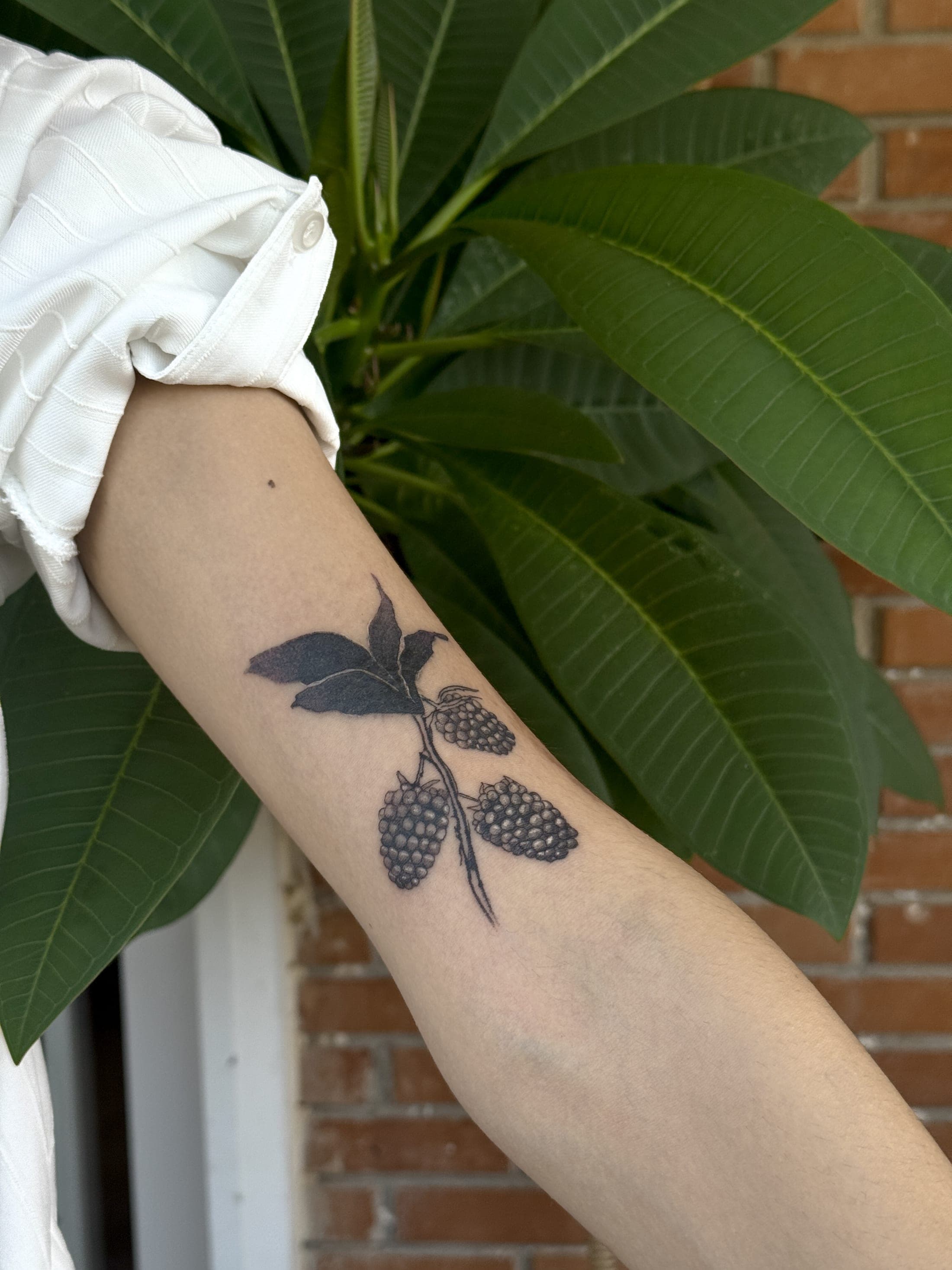 Deniz Enmutlu tattoo 34