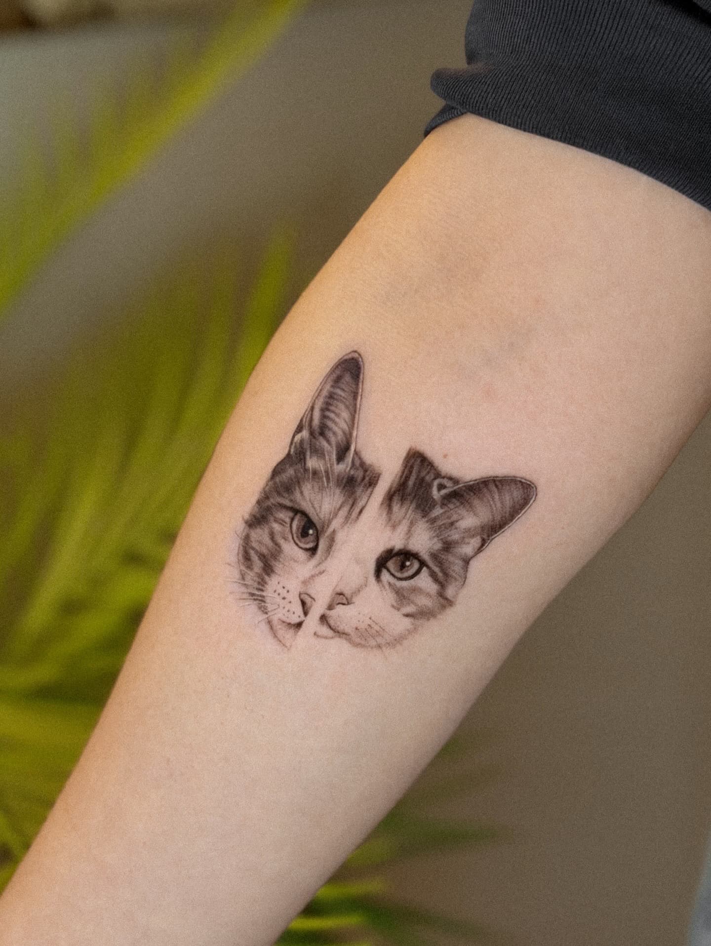 Deniz Enmutlu tattoo 37